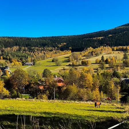 Stara Morawa - Zew Natury Apartment