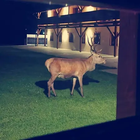 Appartement Zew Natury W Starej Morawie 25z Stronie Śląskie