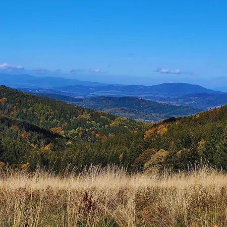 Zew Natury W Starej Morawie 25z Stronie Śląskie