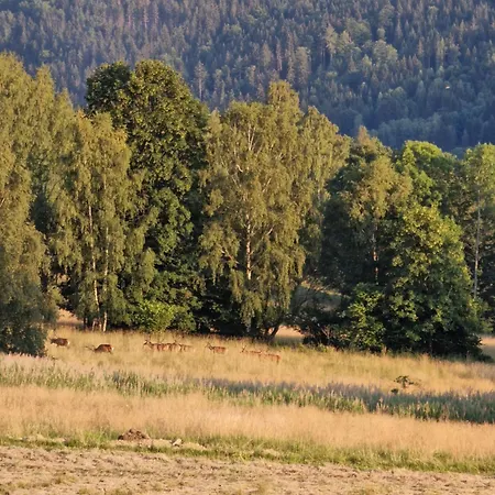 Zew Natury W Starej Morawie 25z Apartment