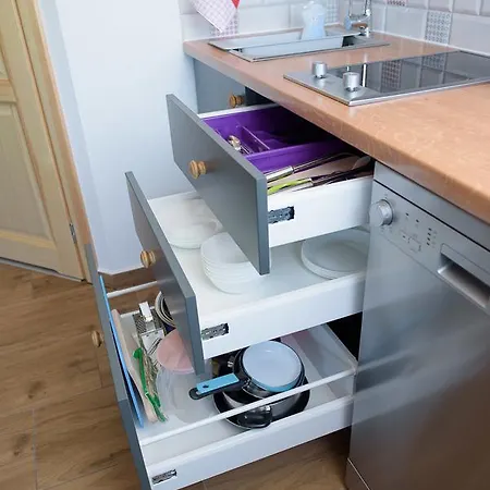 Stara Morawa - Zew Natury Apartment Stronie Slaskie