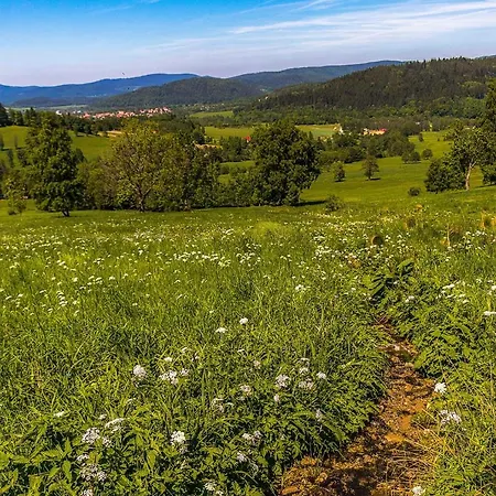 Zew Natury W Starej Morawie 25z