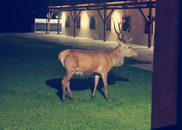 Διαμέρισμα Zew Natury W Starej Morawie 25z Stronie Śląskie