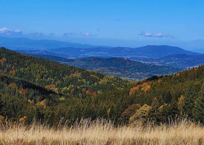Zew Natury W Starej Morawie 25z Stronie Śląskie
