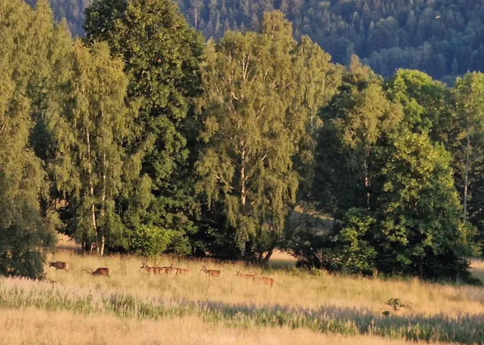 Zew Natury W Starej Morawie 25z Διαμέρισμα