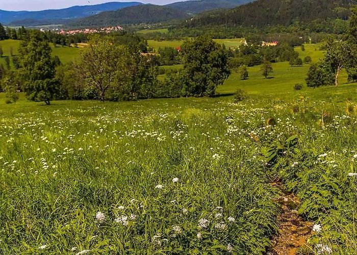 Zew Natury W Starej Morawie 25z